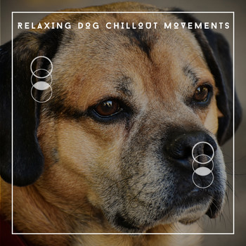 Relaxing Dog Chillout - Relaxing Dog Chillout Movements - Ambience For Calmer Pups