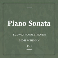 l'Orchestra Filarmonica di Moss Weisman - Beethoven: Piano Sonata Pt.1