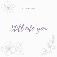 Wild Melodies - Still into you