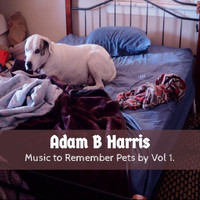 Adam B Harris - Music to Remember Pets By, Vol. 1