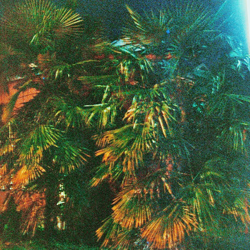 Juliette - Sundressed