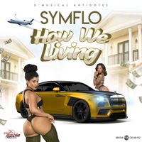 Symflo - How We Living