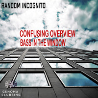 Random Incognito - Confusing Overview / Bass In The Window