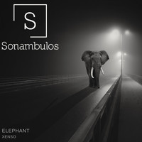 Xenso - elephant