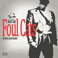 Kool G Rap - Foul Cats (DJ Supa Dave Remix) (Explicit)