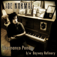 Joe Normal - Warinanco Pond