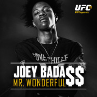 Joey Bada$$ - Mr. Wonderful (Explicit)