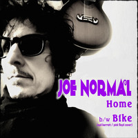 Joe Normal - Home