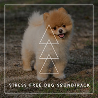 Relaxing Dog Chillout - Music To Reduce Doggy Anxiety - Stress Free Dog Soundtrack