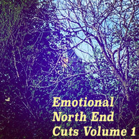 Bale Defoe - Emotional North End Cuts Volume 1