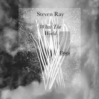 Steven Ray - What the World Does