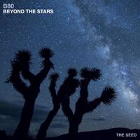 b80 - Beyond the Stars
