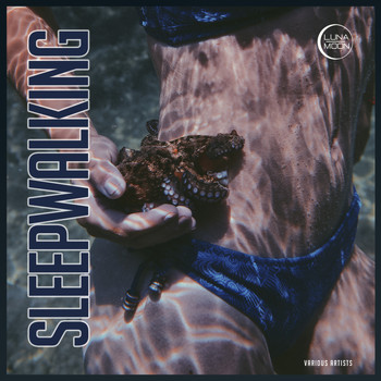 Various Artists - Sleepwalking