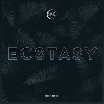 Various Artists - Ecstasy