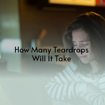 Various Artists - How Many Teardrops Will It Take