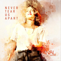 Panal - Never Tears Us Apart