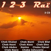 Fadela - 123 Raï, Vol 2 of 3