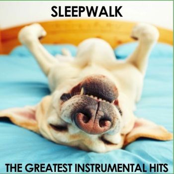 Various Artists - Sleepwalk: The Greatest Instrumental Hits