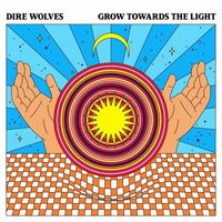 Dire Wolves - Spacetime Rider