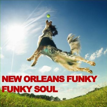 Various Artists - New Orleans Funky Funky Soul