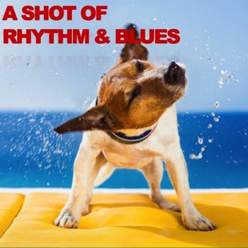 Various Artists - A Shot Of Rhythm & Blues