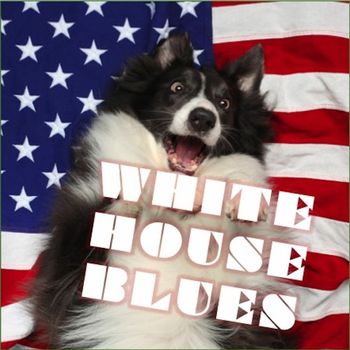Various Artists - White House Blues