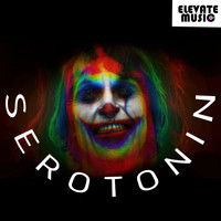 Steven Joint / - Serotonin