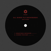 Mike Storm - All Birds Fly Backwards