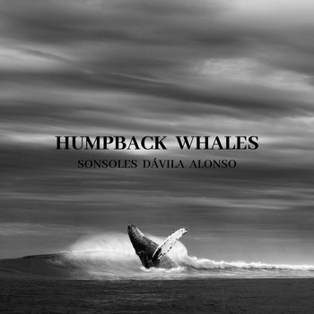 Sonsoles Dávila Alonso - Humpback Whales