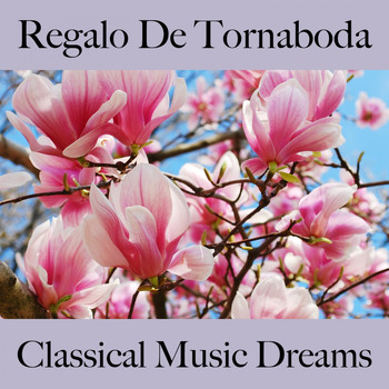 Various Artists - Regalo De Tornaboda: Classical Music Dreams - La Mejor Música Para Descansarse