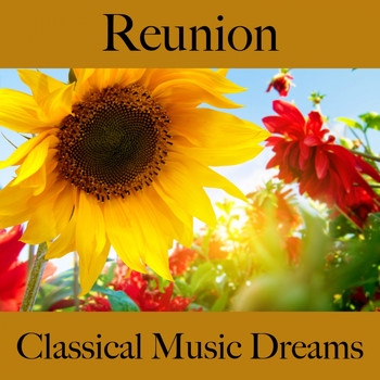 Various Artists - Reunion: Classical Music Dreams - The Best Music For Relaxation