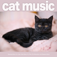 Cat Music, Music For Cats, Music for Pets - Cat Music: Relaxing Music For Cats, Calm Music For Pets, Pet Relaxation and Sleeping Music