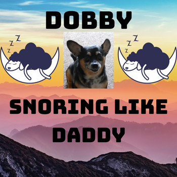 Andy Garrett - Dobby - Snoring Like Daddy