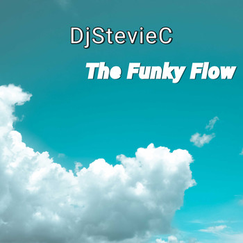 DjStevieC / - The Funky Flow