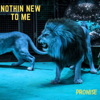 Promise / - Nothin New To Me
