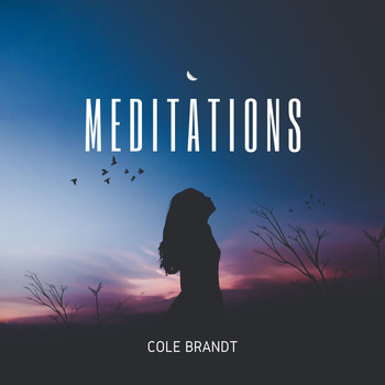 Cole Brandt - Meditations