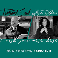 Tortured Soul - I Wish You Were Here (Mark Di Meo Mix Radio Edit)