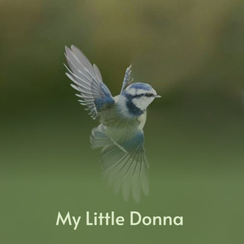 Various Artists - My Little Donna