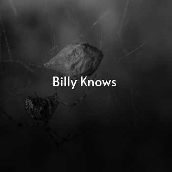 Various Artists - Billy Knows