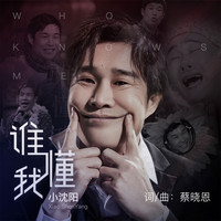 小沈阳 - 谁懂我