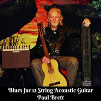 Paul Brett - Blues For 12 String Acoustic Guitar