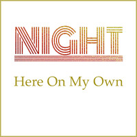 Night - Here on My Own