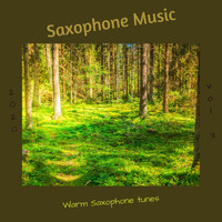 Saxophone Music - Warm Saxophone Tunes, Vol. 3