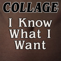 Collage - I Know What I Want (Remixes)
