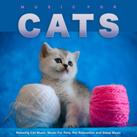 Cat Music, Music For Cats, Music for Pets - Music For Cats: Relaxing Cat Music, Music For Pets, Pet Relaxation and Sleep Music