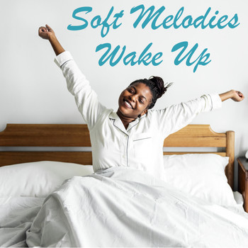 Various Artists - Soft Melodies Wake Up