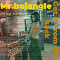Mr.bojangle - Get it From The Back