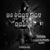 Dj Phat Cat - Move on (feat. Nkagi)