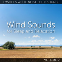 Tmsoft's White Noise Sleep Sounds - Wind Sounds for Sleep and Relaxation Volume 2
