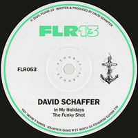 David Schaffer - In My Holidays / The Funky Shot